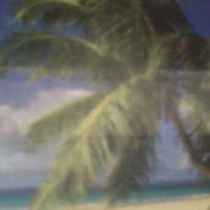 Meet your Posher, Sallye